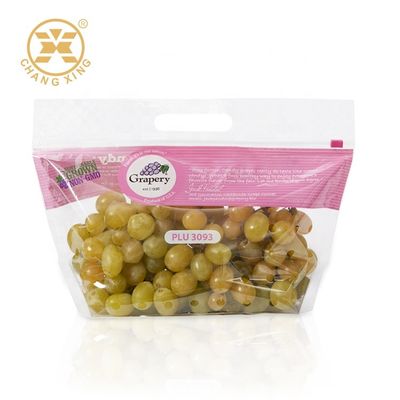 500g Vegetables Resealable Stand Up Pouch Bags Dry Fruits Packaging Pouch Zipper Top